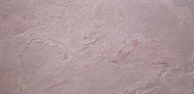 Rosea